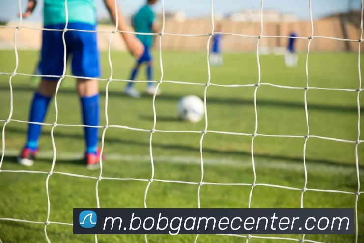 BOB体育APP 体育赛事宣传图